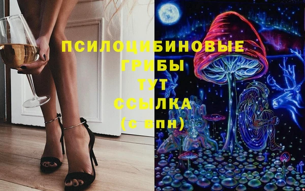 МДПВ Армянск