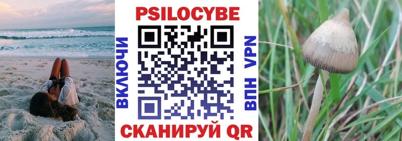 Галлюциногенные грибы Psilocybe  Собинка 